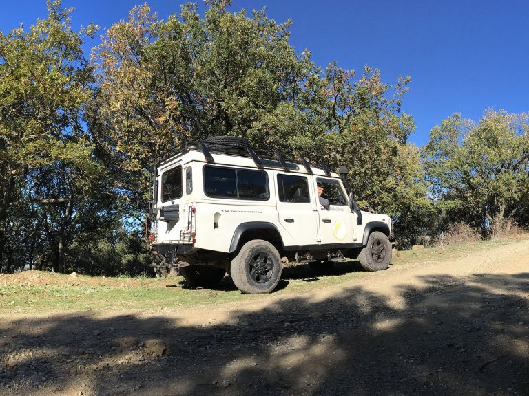 Forest’Anela in 4X4