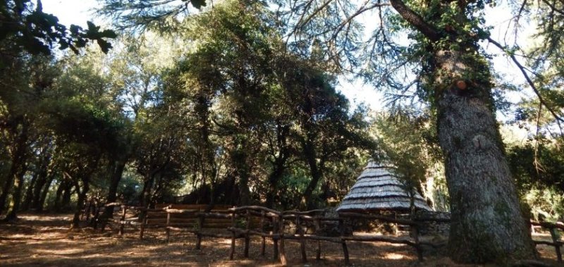PASQUA E PASQUETTA 2025: WILD EXPERIENCE A FOREST’ANELA