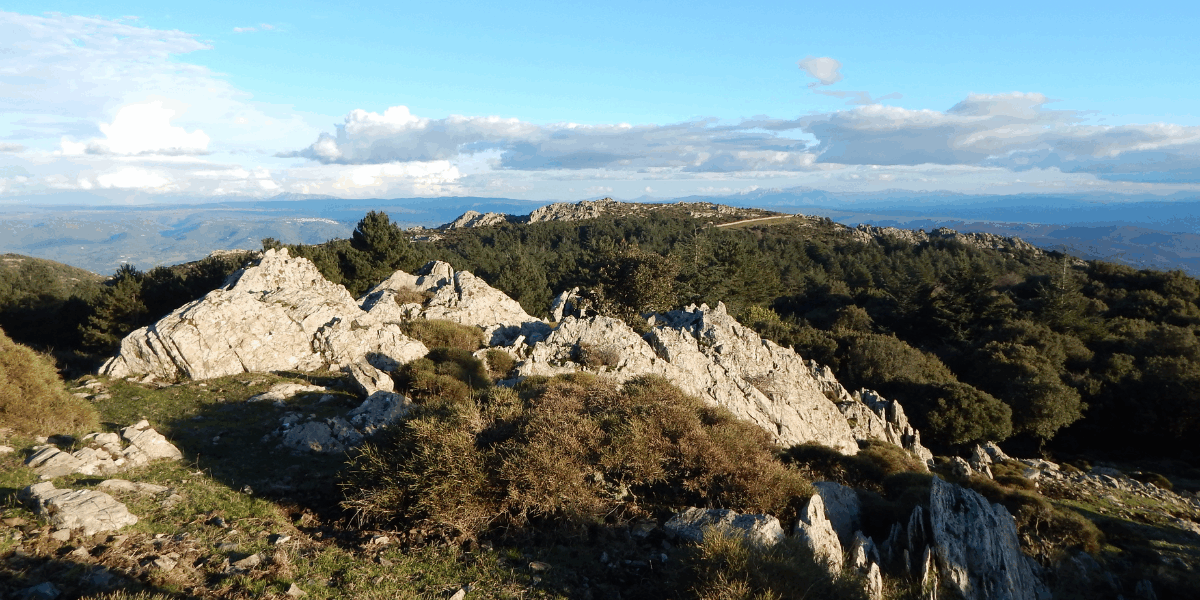 WEEKEND EXPERIENCE:  TREK & YOGA IN FORESTA