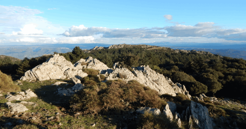 WEEKEND EXPERIENCE:  TREK & YOGA IN FORESTA