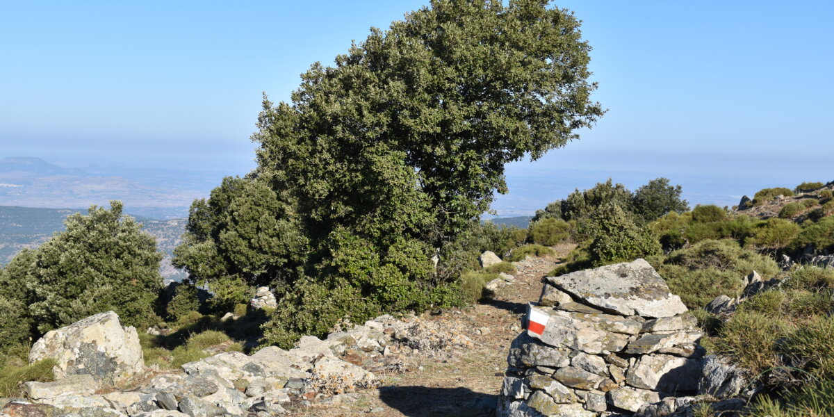 CAPODANNO 2026 IN FORESTA due giorni di trekking, notte in rifugio, super cenone