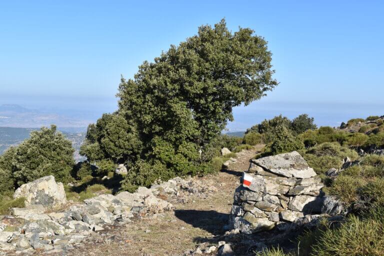 CAPODANNO 2026 IN FORESTA due giorni di trekking, notte in rifugio, super cenone