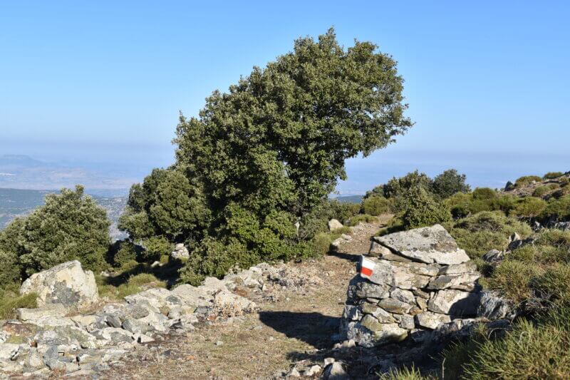 CAPODANNO 2026 IN FORESTA due giorni di trekking, notte in rifugio, super cenone